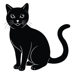 Halloween black cat isolated on white background