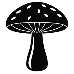 Mushroom isolated on white background