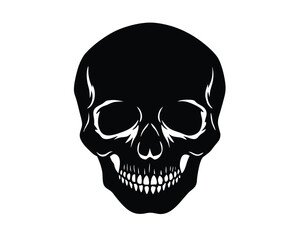 Fototapeta premium Skull isolated on white background