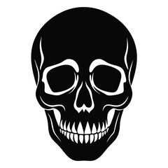 Skull isolated on white background