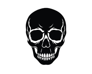 Skull isolated on white background