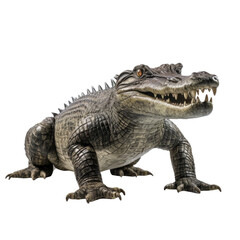 Obraz premium crocodile isolated on white background