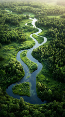 Serene Symphony: Nature's River Veins Weaving Through Lush Green Tapestry