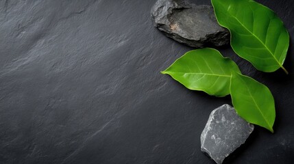 Dark stone and green leaves on a slate surface