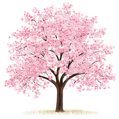 Obraz premium A vibrant pink flowering tree, symbolizing beauty and nature.