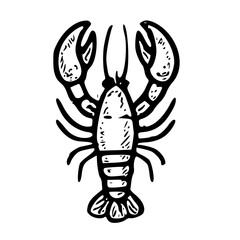 Lobster Sketch Illustration
