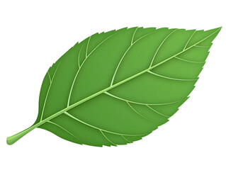Obraz premium Isolated Green Leaf Illustration On Transparent Background