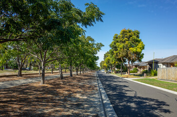 A peaceful suburban street in Williams Landing, Melbourne, with a tree-lined avenue creating a...