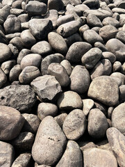 Dry lake shore with various shaped stones in natural sunlight. Captured at Willow Creek Recreation Area in Folsom, California, United States.