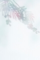 컬러풀한 식물 그림자 배경,표지 이미지