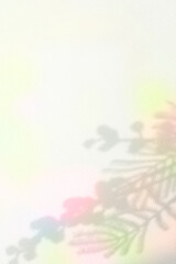 Obraz premium 컬러풀한 식물 그림자 배경,표지 이미지