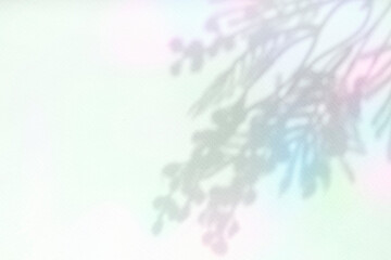 컬러풀한 식물 그림자 배경,표지 이미지