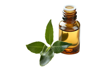 Fresh tea tree and essential oil isolated on transparent background
