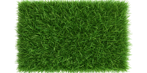 Realistic Grass Texture Green Isolated Background For Natural Fresh Look