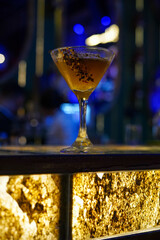 The fun never ends, spectacular mariachi show with lots of shots.