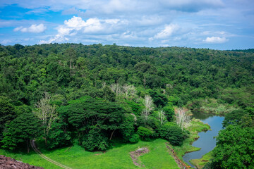 landscape with trees and mountains