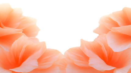 Abstract Floral PNG Illustration in Orange Petals on Transparent Background
