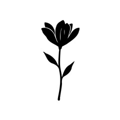 Elegant Black Floral Silhouette on White Backdrop