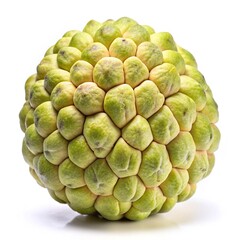 Fototapeta premium Closeup of a whole cherimoya fruit on white background showing its unique texture and numerous segments