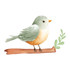 Cute Little Bird Animal Forest Watercolor
