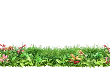 Isolated Green Grass Illustration On Transparent Background
