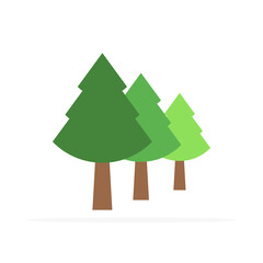 pine tree icon, flat colored vector. modern and minimalist design