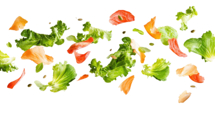 Colorful salad ingredients, scattered