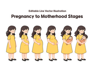 Pregnancy to Motherhood Stages – Editable Line Vector Illustration
