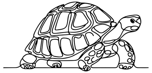 Tortoise Line Art.