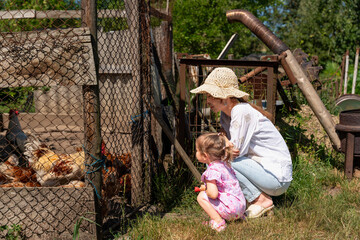 田舎で鶏に餌をあげる親子