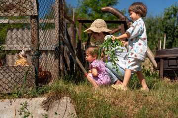 田舎で鶏に餌をあげる親子