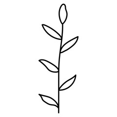 Wildflower