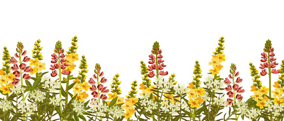 great mullein, red lupin and marsh Labrador tea, field flowers, vector drawing wild plants at white background, floral elements, hand drawn botanical illustration