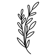 Wildflower