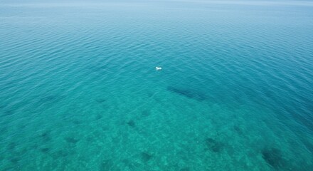 Fototapeta premium Serene Aqua Ocean Vista: A Bird's-Eye View of Tranquil Turquoise Waters
