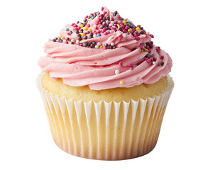 Single cupcake with pink frosting and sprinkles