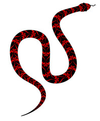 red snake on white background