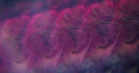 Purple reflection. Defocused spots. Lilac color gleaming blinking paint water turning on blurred abstract bokeh light modern background.