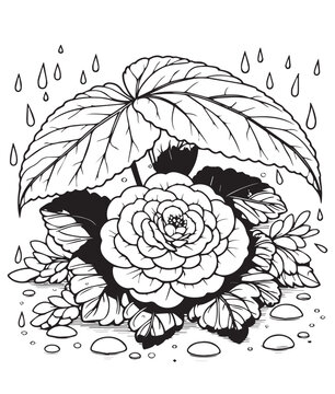 flower sheltering from rain, black and white clip art preview