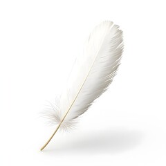 Fototapeta premium Delicate white feather in a minimalist studio setting