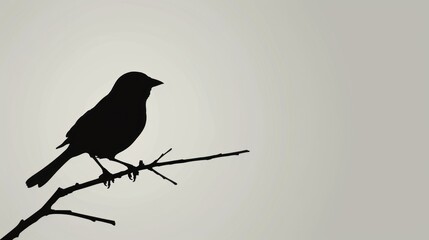 Minimalist Silhouette of a Bird on a Perch: A simple silhouette of a bird on a perch, against a plain background, symbolizing the serene presence of pet birds.