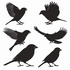 set of birds