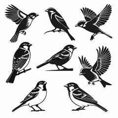 set of birds