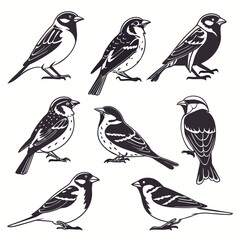 set of birds