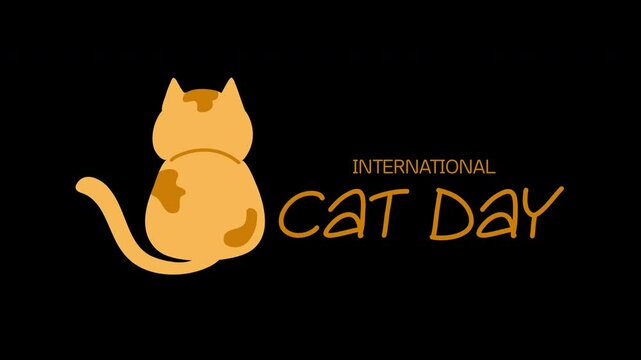 International cat day, Holiday, event and festival. Playful domestic animals and pets