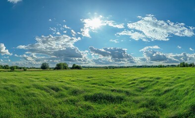 Fototapeta premium Bright sunny day with beautiful clouds over green grassy field