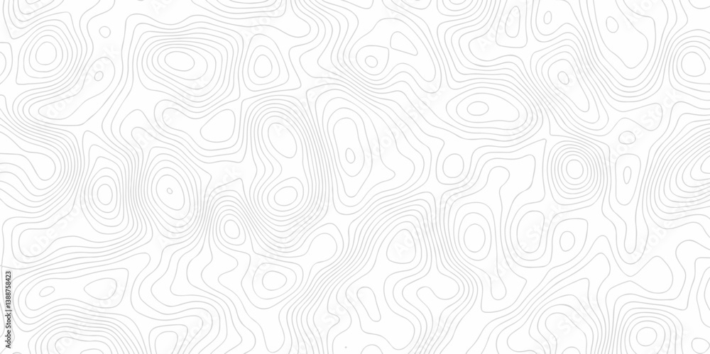 Poster abstract curve grid map and topo contour map on white background, topographic contour lines. seamles