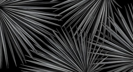 Obraz premium Elegant Palm Fronds Pattern in Black and White Botanical Design