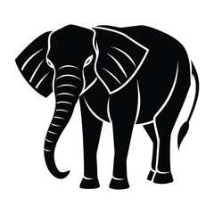 Fototapeta premium black and white elephant