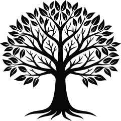 Obraz premium tree with roots